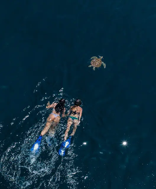 http://Two%20swimmers%20in%20blue%20fins%20glide%20through%20deep%20blue%20water,%20approaching%20a%20sea%20turtle%20above%20them.%20Sunlight%20sparkles%20on%20the%20surface.