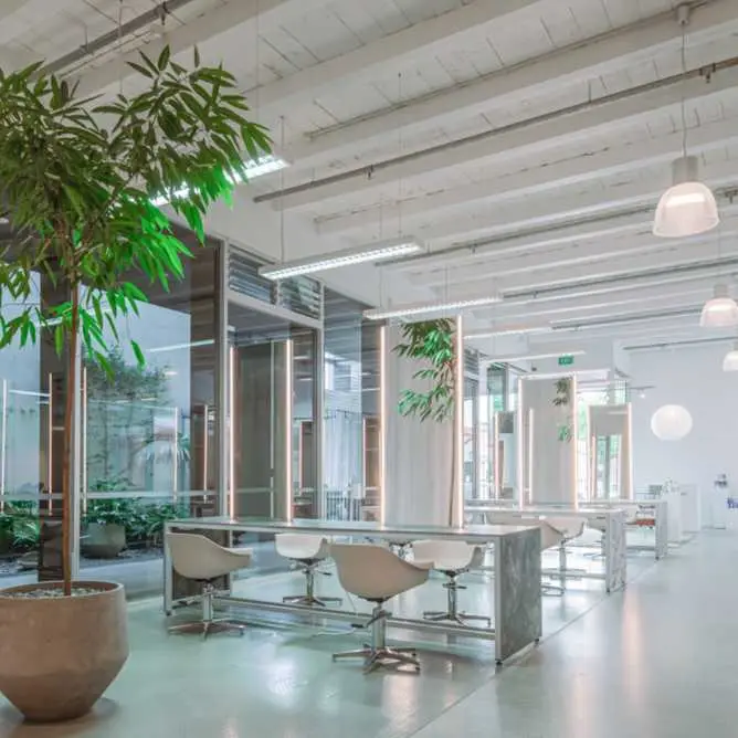A spacious open office filled with numerous plants, creating a vibrant and refreshing work environment.