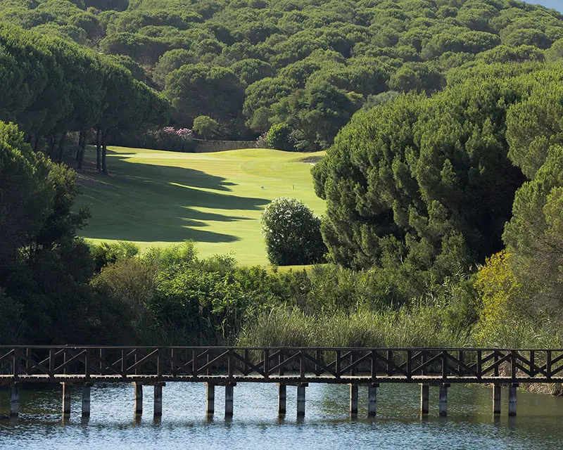 http://Side%20view%20of%20the%20bridge%20over%20fairway%20pond.