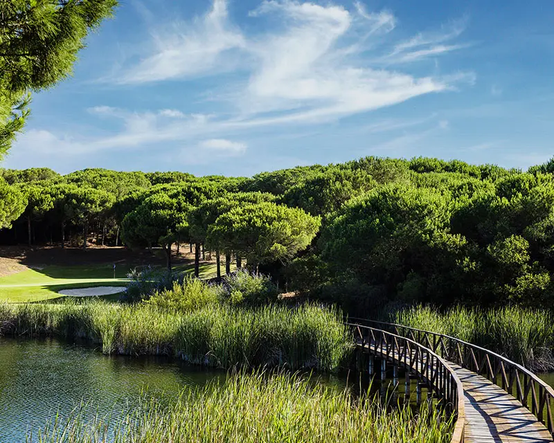 http://Bridge%20over%20a%20fairway%20pond.